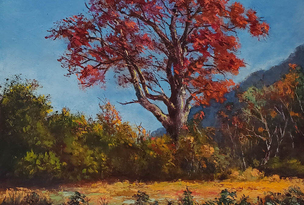 Oak in Fall